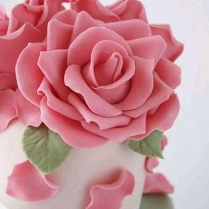 Meet your Posher, Claudia